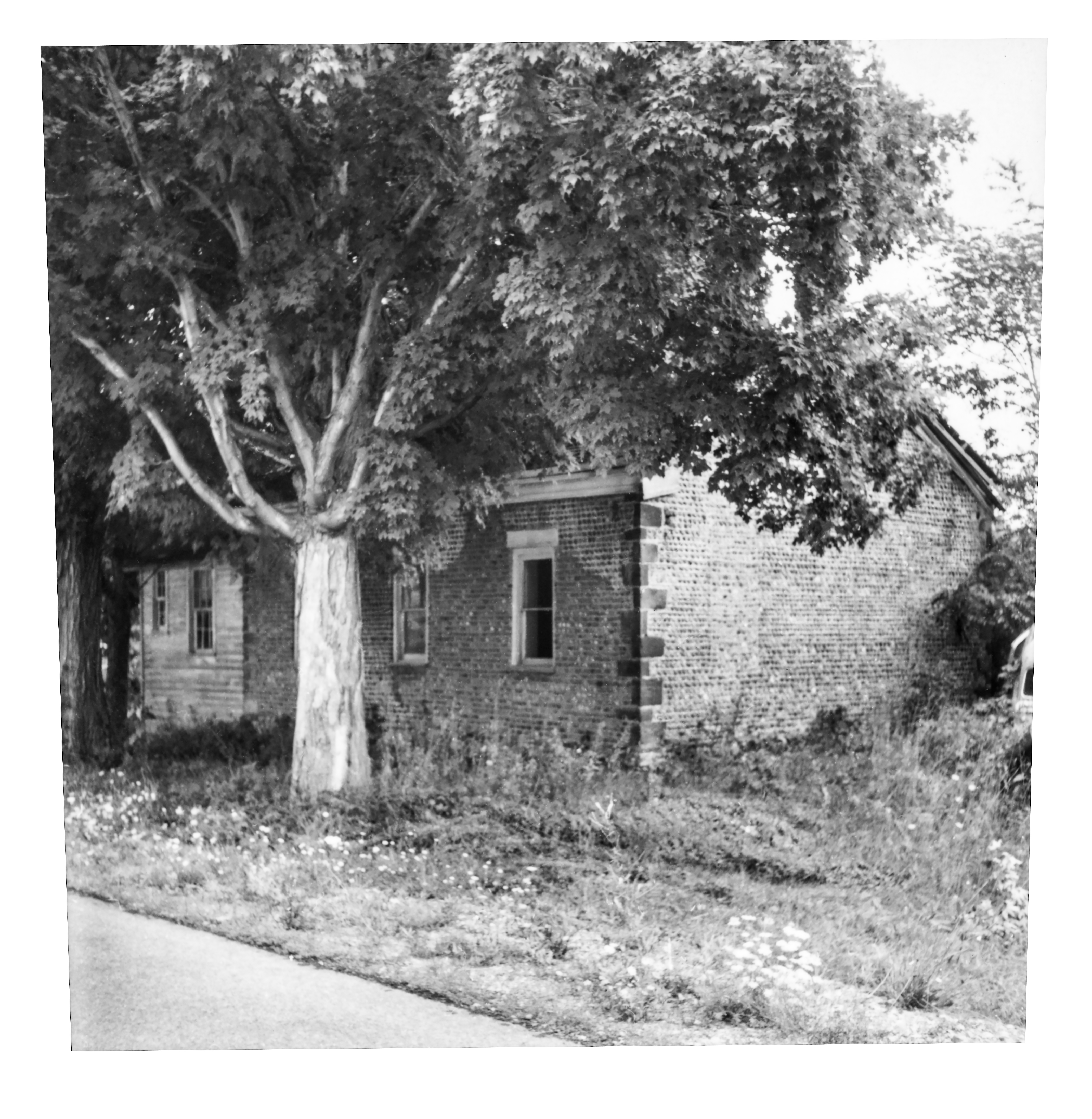 GP Wayne Lyons Lyo-3 1-1 N